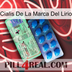 Lily Brand Cialis new02